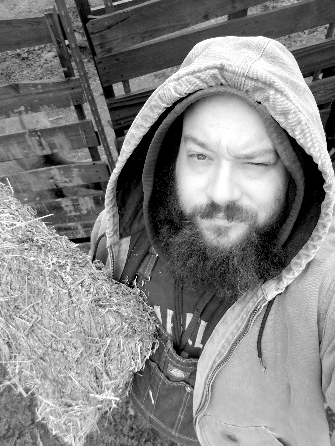 Meadow Outdoor Advertising Artist Andrew Husband