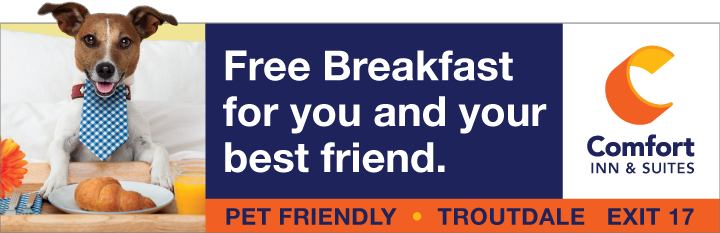 Comfort Inn billboard artwork with small dog and blue, white, and orange background